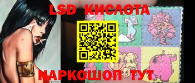 гашик Будённовск