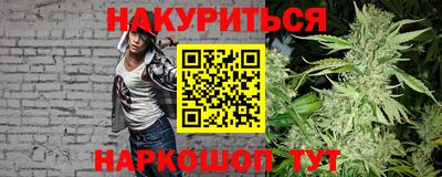 гашик Будённовск