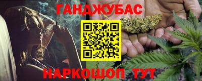 гашик Будённовск