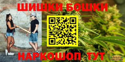 гашик Будённовск