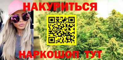 гашик Будённовск